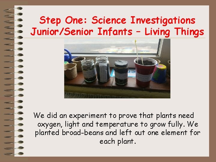 Step One: Science Investigations Junior/Senior Infants – Living Things We did an experiment to
