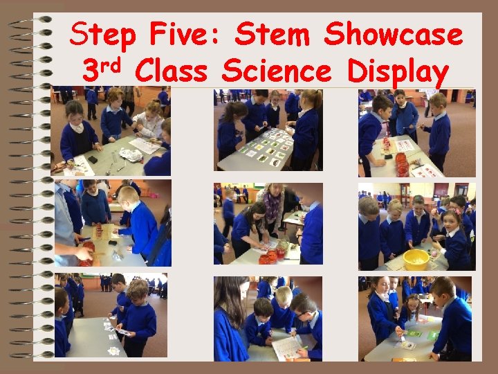 Step Five: Stem Showcase rd 3 Class Science Display 