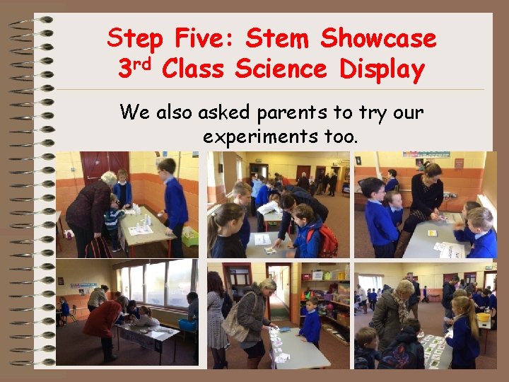 Step Five: Stem Showcase 3 rd Class Science Display We also asked parents to