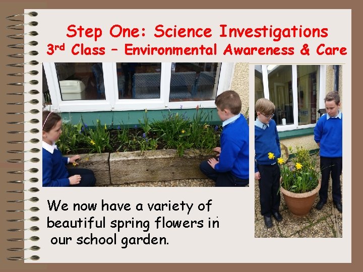 Step One: Science Investigations 3 rd Class – Environmental Awareness & Care . We