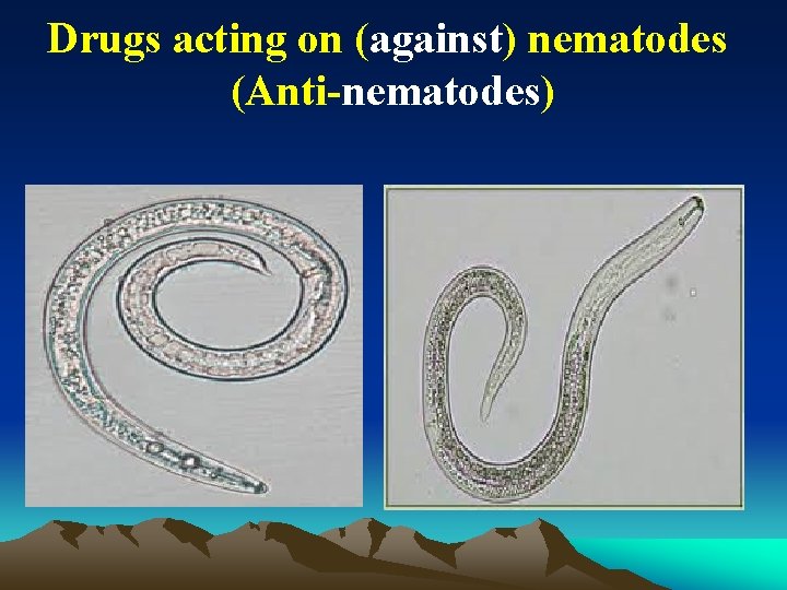 Drugs acting on (against) nematodes (Anti-nematodes) 