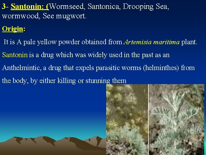 3 - Santonin: (Wormseed, Santonica, Drooping Sea, wormwood, See mugwort. Origin: It is A