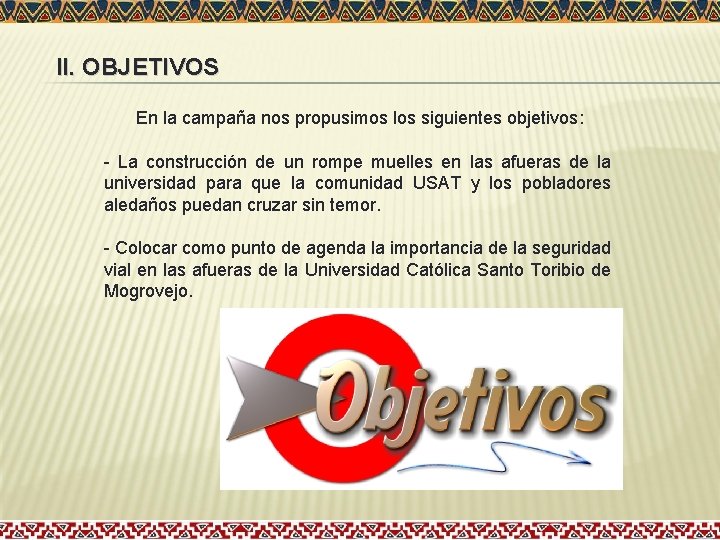 II. OBJETIVOS En la campaña nos propusimos los siguientes objetivos: - La construcción de