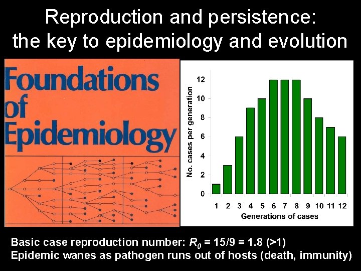 Reproduction and persistence: the key to epidemiology and evolution Basic case reproduction number: R