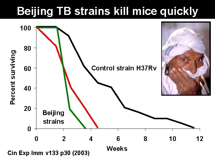 Beijing TB strains kill mice quickly Percent surviving 100 80 Control strain H 37