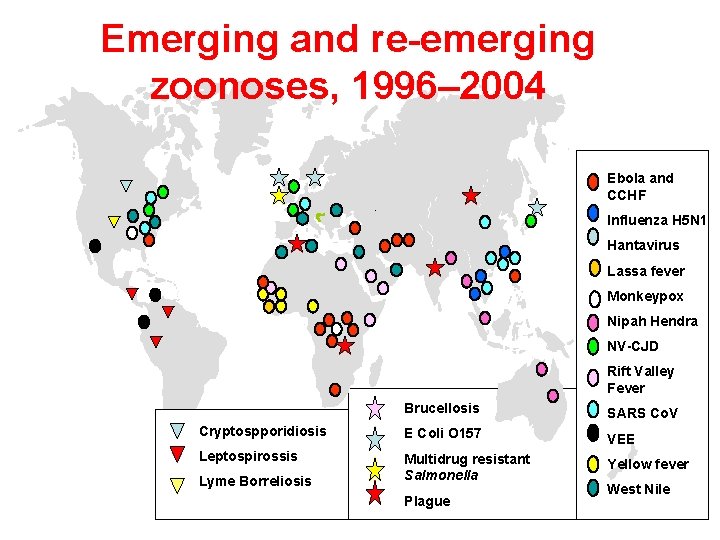 Emerging and re-emerging zoonoses, 1996– 2004 Ebola and CCHF Influenza H 5 N 1
