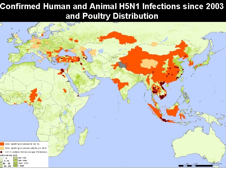 Confirmed Human and Animal H 5 N 1 Infections since 2003 and Poultry Distribution