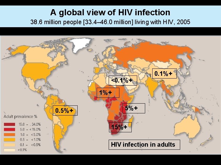 A global view of HIV infection 38. 6 million people [33. 4‒ 46. 0