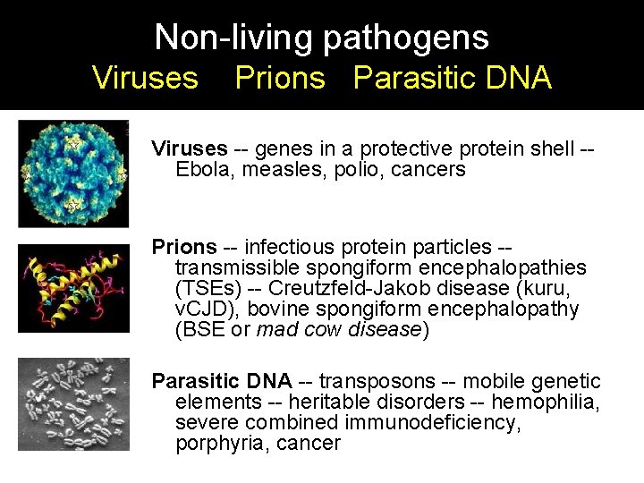 Non-living pathogens Viruses Prions Parasitic DNA Viruses -- genes in a protective protein shell