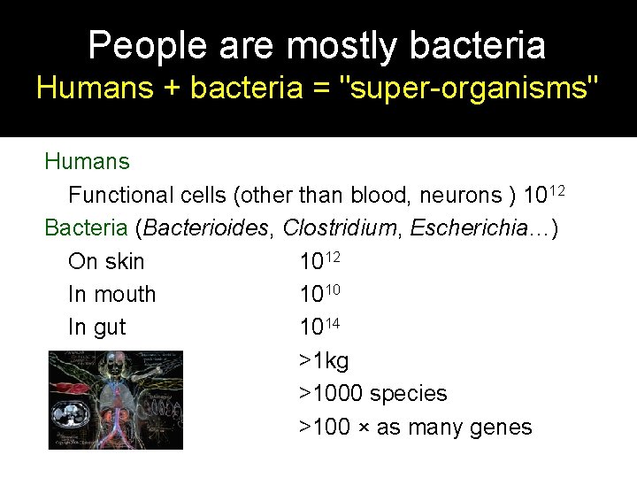 People are mostly bacteria Humans + bacteria = "super-organisms" Humans Functional cells (other than