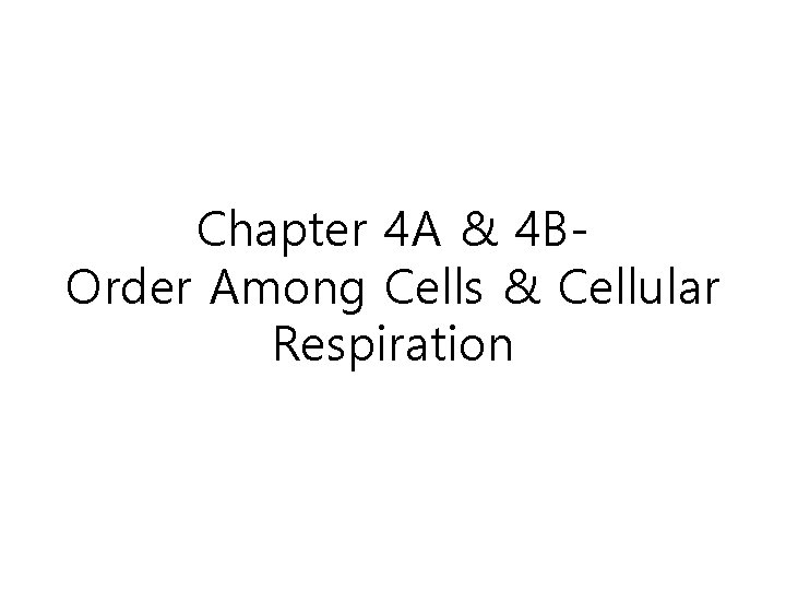 Chapter 4 A & 4 BOrder Among Cells & Cellular Respiration 