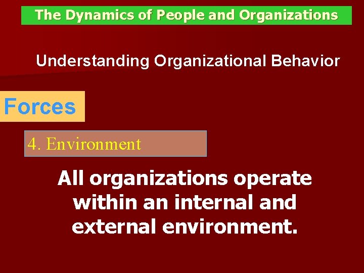 The Dynamics of People and Organizations Understanding Organizational Behavior Forces 4. Environment All organizations