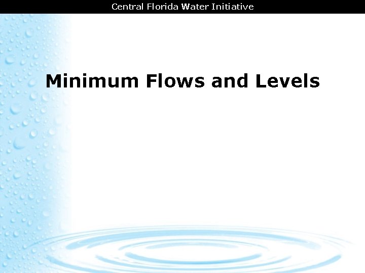 CENTRAL FLORIDA AREA Central Florida COORDINATION Water Initiative Minimum Flows and Levels 