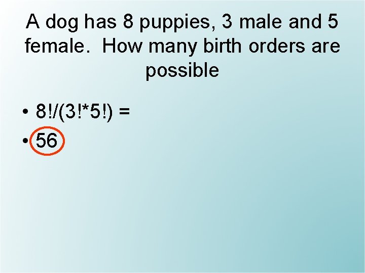 A dog has 8 puppies, 3 male and 5 female. How many birth orders