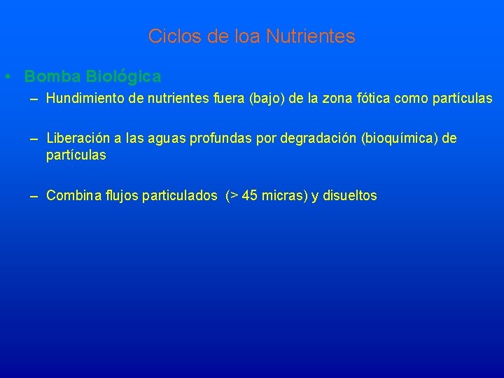 Ciclos de loa Nutrientes • Bomba Biológica – Hundimiento de nutrientes fuera (bajo) de