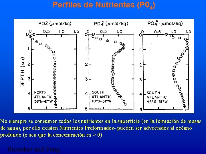 Perfiles de Nutrientes (P 04) No siempre se consumen todos los nutrientes en la