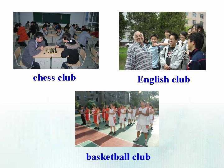chess club English club basketball club 