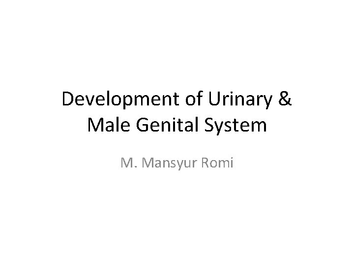 Development of Urinary & Male Genital System M. Mansyur Romi 