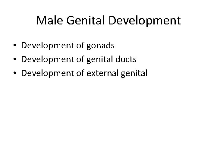 Male Genital Development • Development of gonads • Development of genital ducts • Development