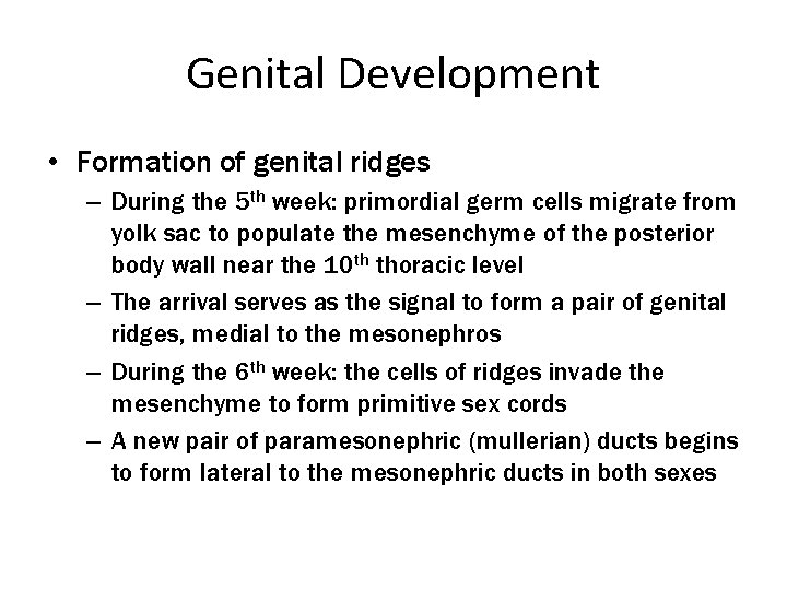 Genital Development • Formation of genital ridges – During the 5 th week: primordial