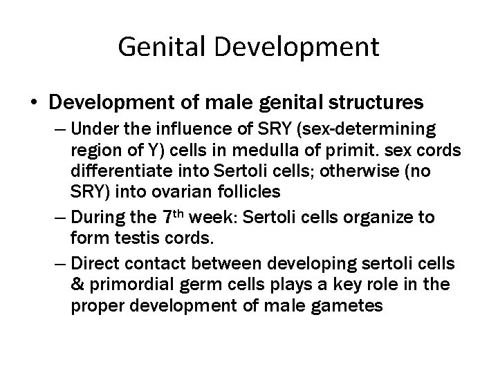 Genital Development • Development of male genital structures – Under the influence of SRY