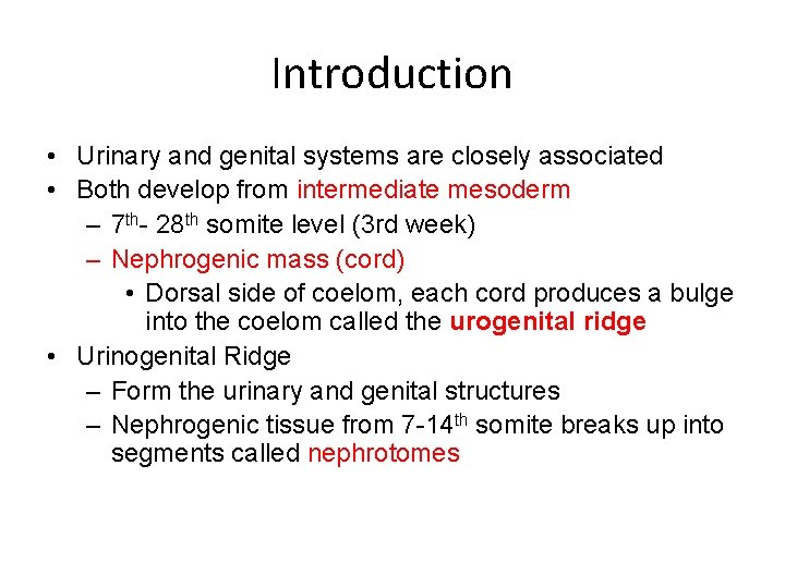 Introduction • Urinary and genital systems are closely associated • Both develop from intermediate
