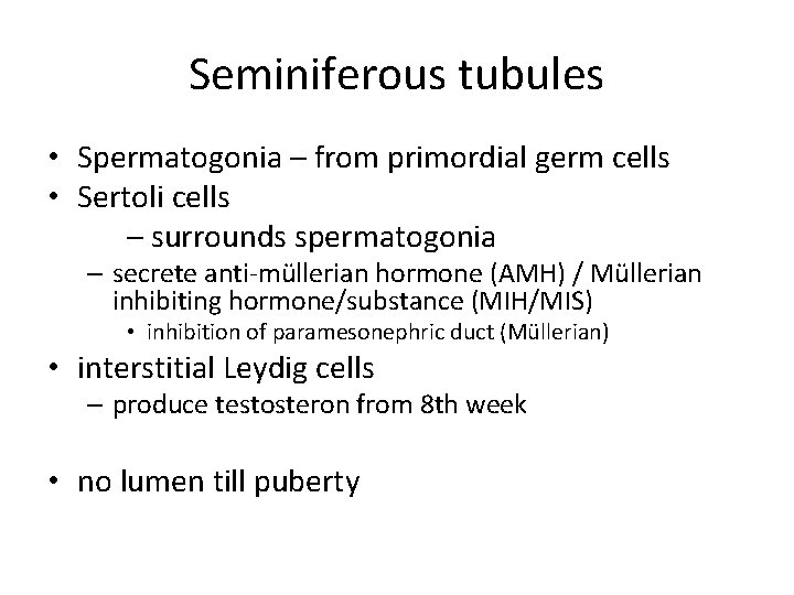Seminiferous tubules • Spermatogonia – from primordial germ cells • Sertoli cells – surrounds