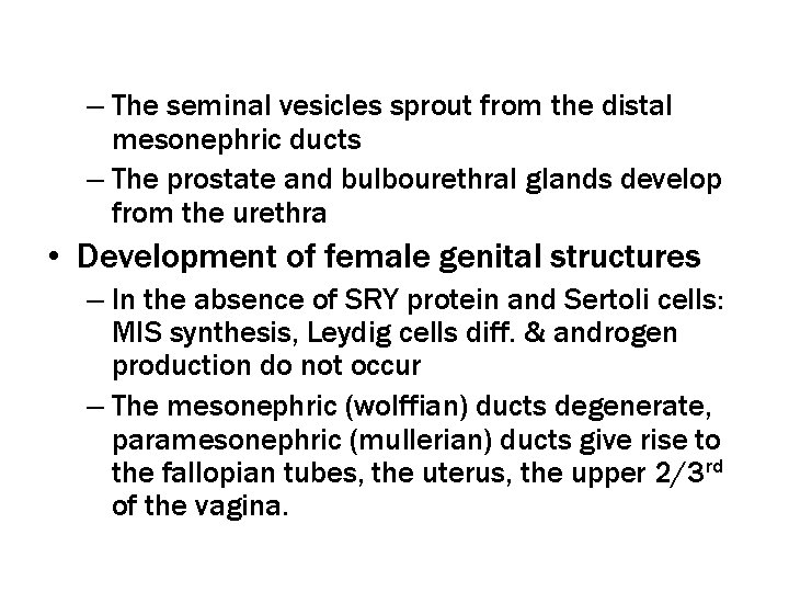 – The seminal vesicles sprout from the distal mesonephric ducts – The prostate and
