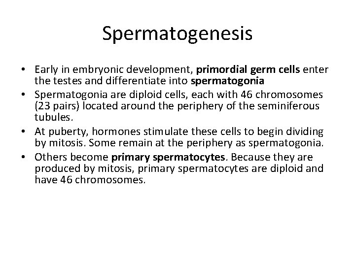Spermatogenesis • Early in embryonic development, primordial germ cells enter the testes and differentiate