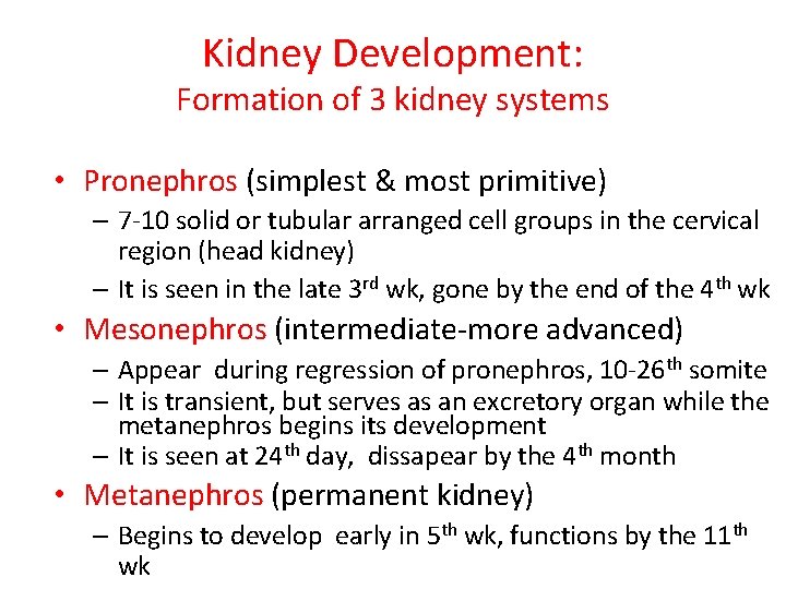 Kidney Development: Formation of 3 kidney systems • Pronephros (simplest & most primitive) –