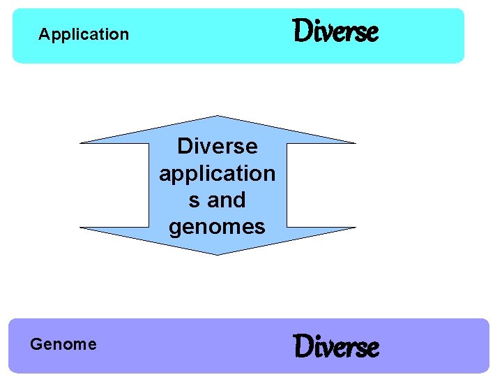 Diverse Application Diverse application s and genomes Genome Diverse 