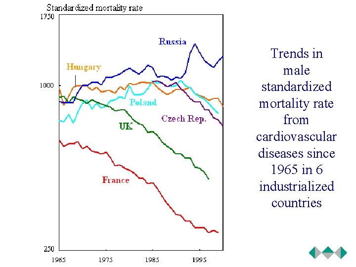 Trends in male standardized mortality rate from cardiovascular diseases since 1965 in 6 industrialized