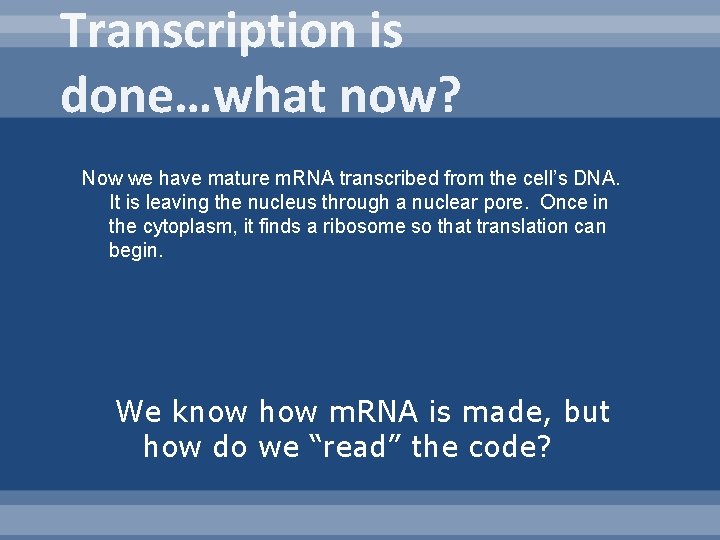 Transcription is done…what now? Now we have mature m. RNA transcribed from the cell’s