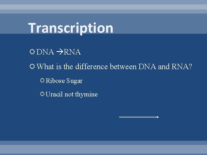 Transcription DNA RNA What is the difference between DNA and RNA? Ribose Sugar Uracil