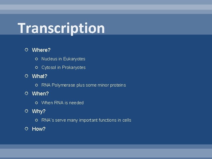 Transcription Where? Nucleus in Eukaryotes Cytosol in Prokaryotes What? RNA Polymerase plus some minor