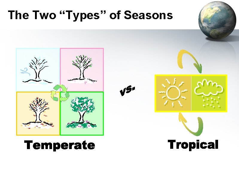 The Two “Types” of Seasons 