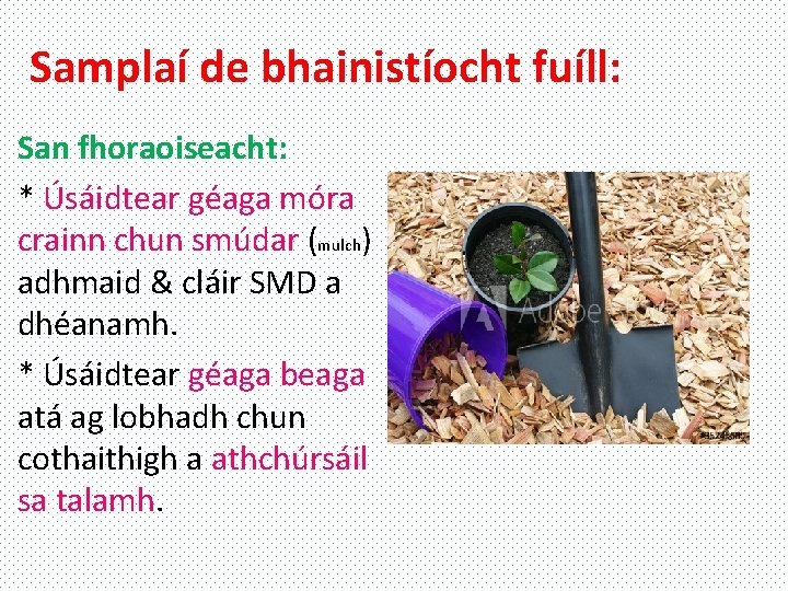 Samplaí de bhainistíocht fuíll: San fhoraoiseacht: * Úsáidtear géaga móra crainn chun smúdar (mulch)
