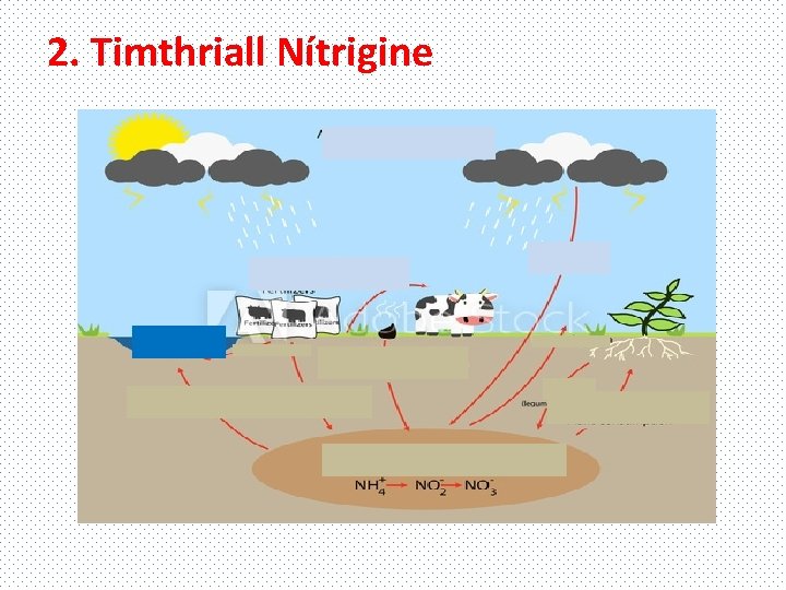 2. Timthriall Nítrigine 