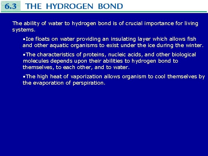 The ability of water to hydrogen bond is of crucial importance for living systems.