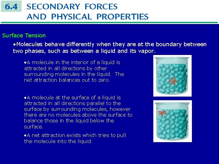 Surface Tension • Molecules behave differently when they are at the boundary between two