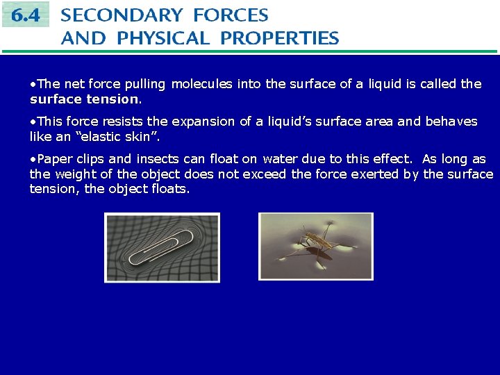  • The net force pulling molecules into the surface of a liquid is