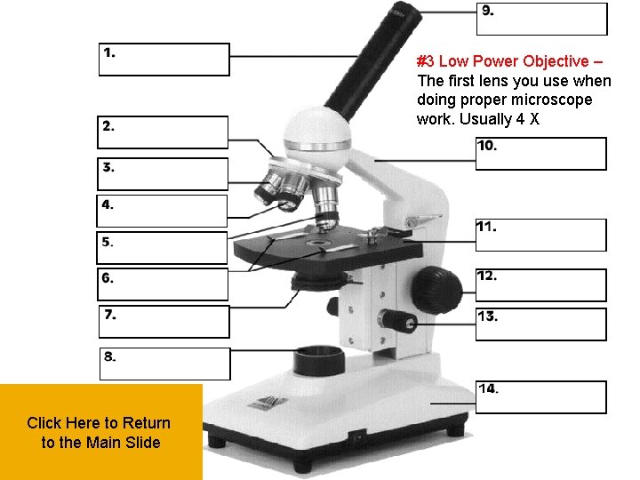 #3 Low Power Objective – The first lens you use when doing proper microscope