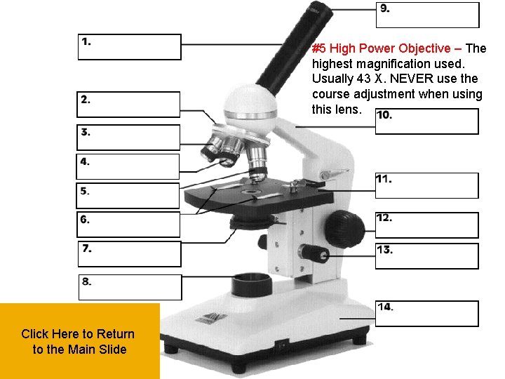 #5 High Power Objective – The highest magnification used. Usually 43 X. NEVER use