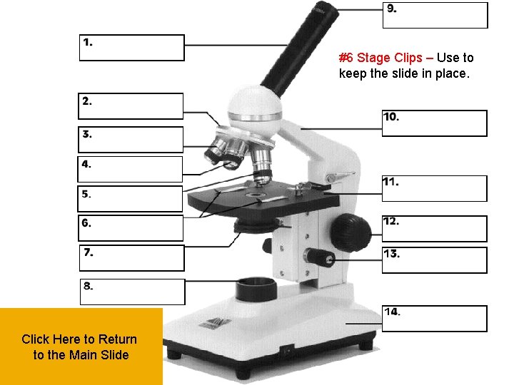 #6 Stage Clips – Use to keep the slide in place. Click Here to