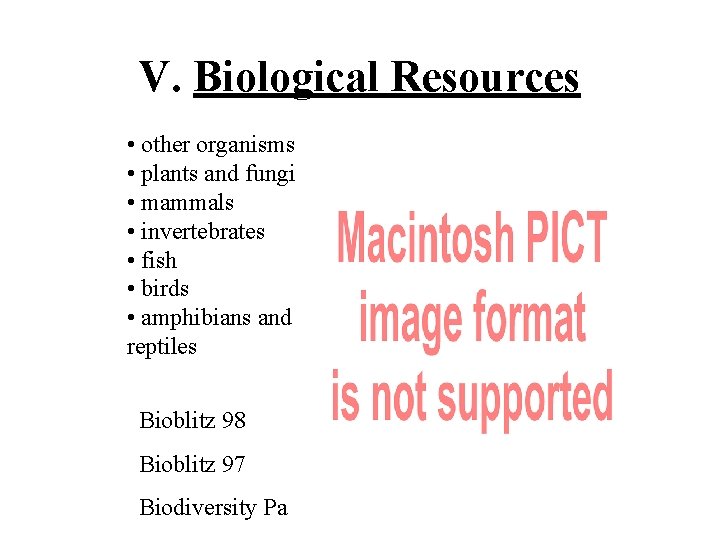 V. Biological Resources • other organisms • plants and fungi • mammals • invertebrates