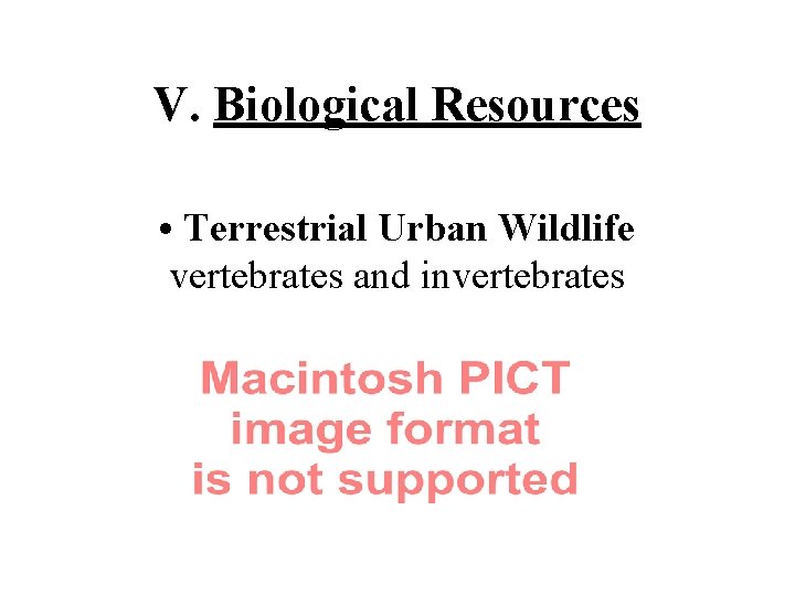 V. Biological Resources • Terrestrial Urban Wildlife vertebrates and invertebrates 