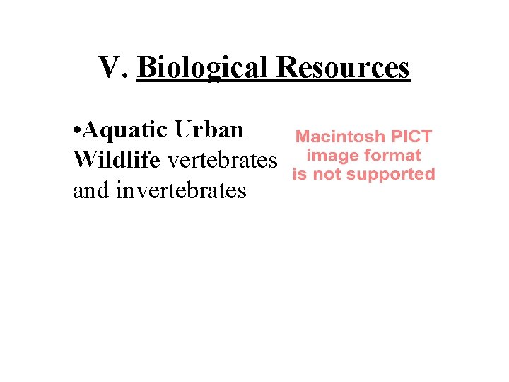 V. Biological Resources • Aquatic Urban Wildlife vertebrates and invertebrates 