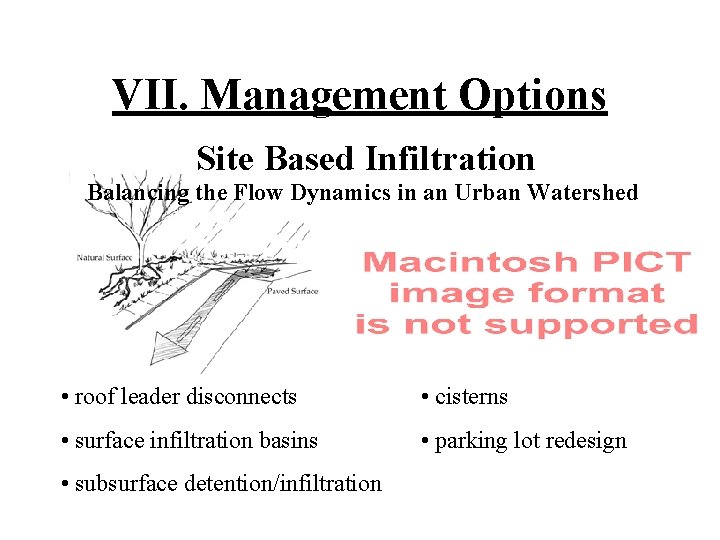 VII. Management Options Site Based Infiltration Balancing the Flow Dynamics in an Urban Watershed