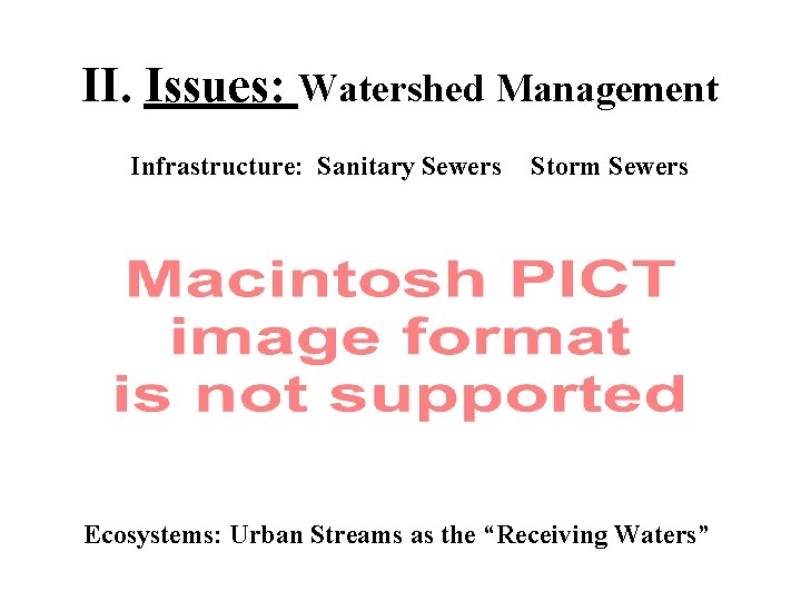 II. Issues: Watershed Management Infrastructure: Sanitary Sewers Storm Sewers Ecosystems: Urban Streams as the