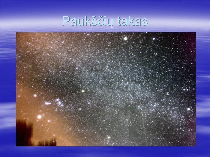 Paukščių takas 